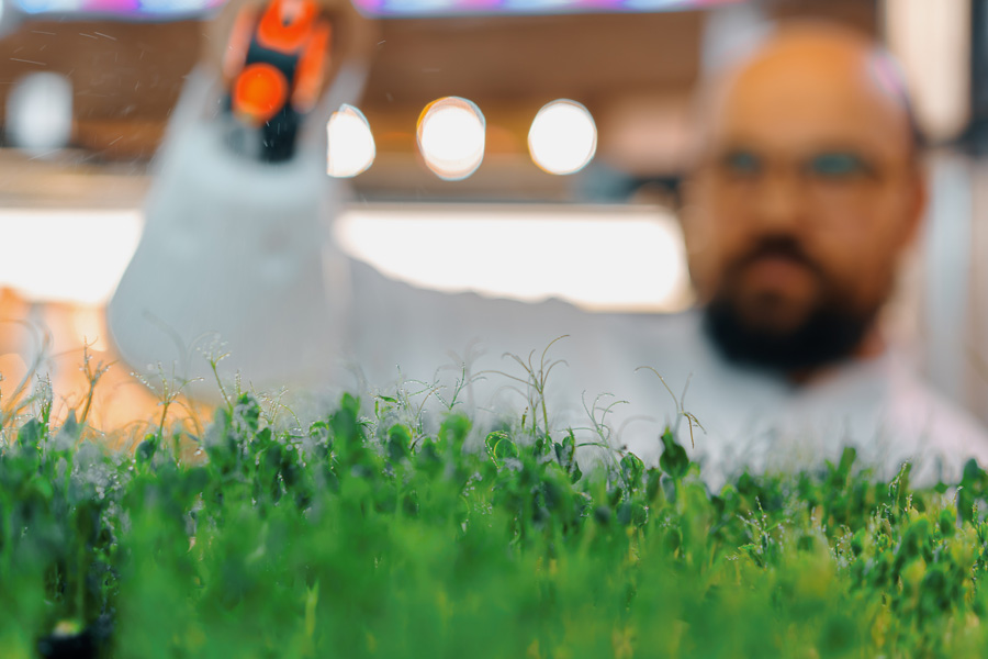 Agroindustria Ribeirão Preto e região