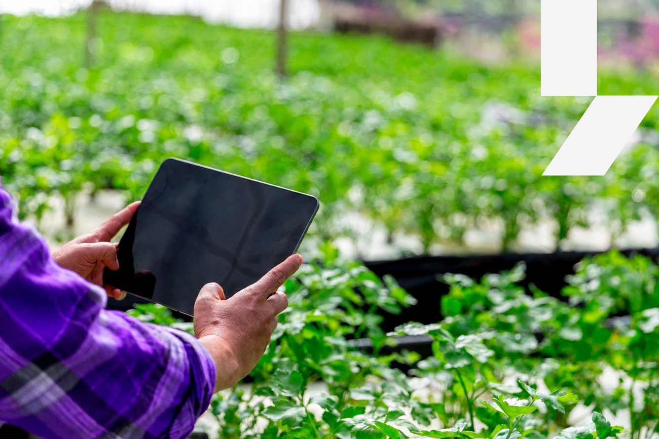 Tecnologia agro em Ribeirão Preto: homem com tablet em meio a plantação